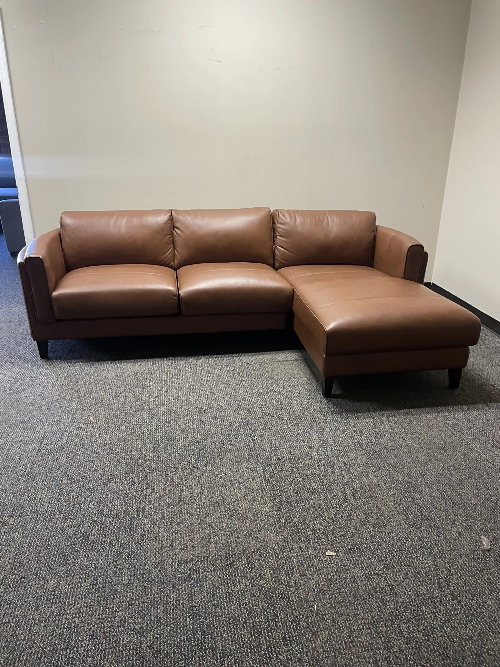 Antilles 2-piece Leather Sectional