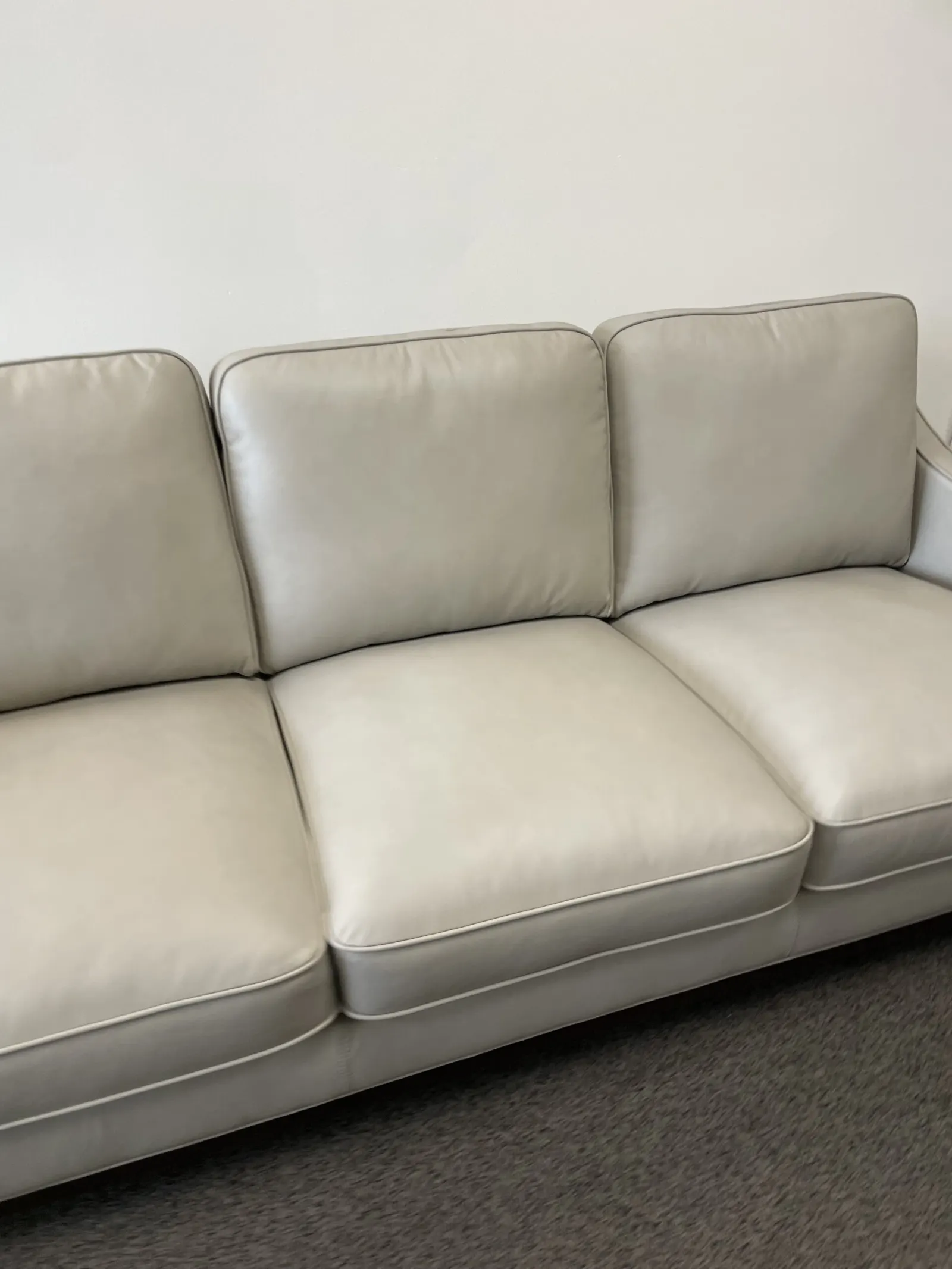 Concise Leather Sofa - Image 4